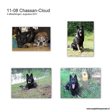 Chassan-Cloud met foto's van zijn vakantie